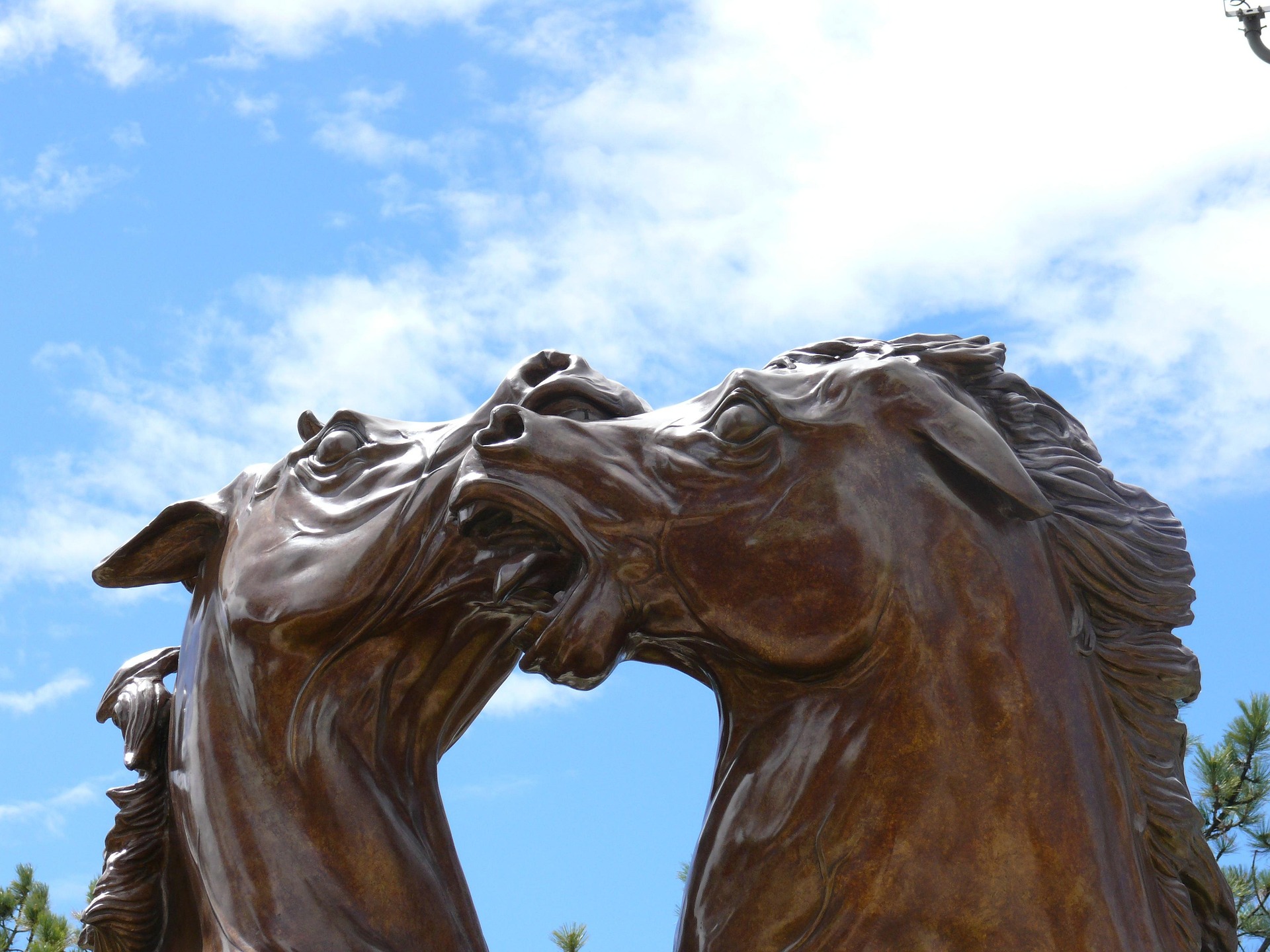 horse statue close up