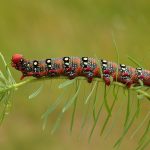 Einstimmung auf den Text